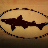 Dogfish Head Province Ale Co Wild Sage beer