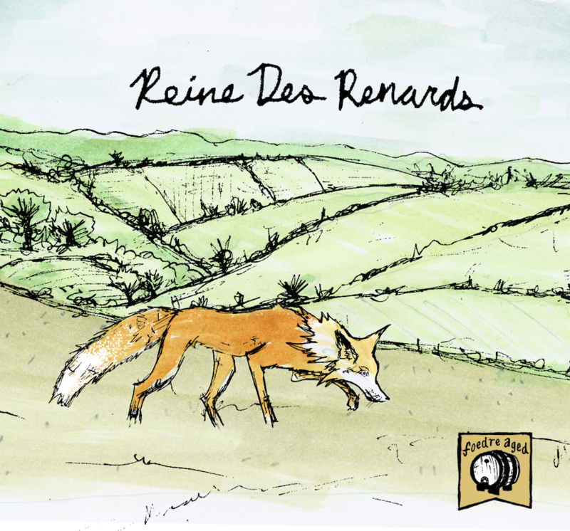 Off Color Reine des Renards beer Label Full Size