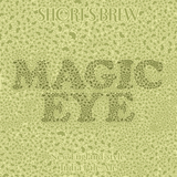 Short's Magic Eye beer
