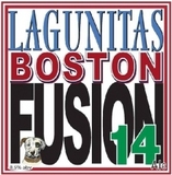 Lagunitas Boston Fusion #14 beer