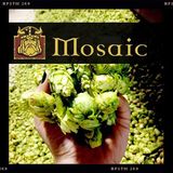 Fearless Mosaic IPA beer