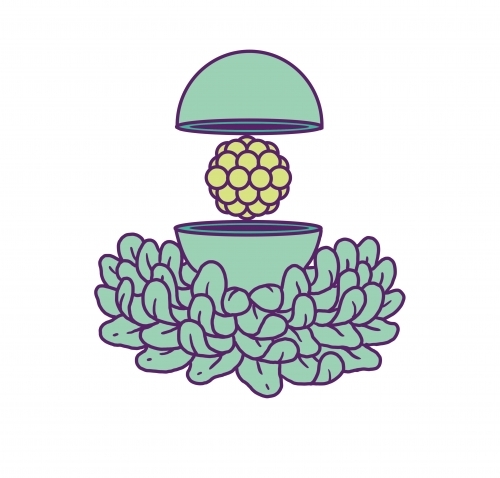 Hudson Valley Soleil SF 2021 beer Label Full Size