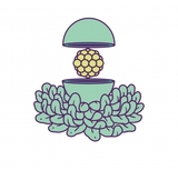 Hudson Valley Soleil SF 2021 beer