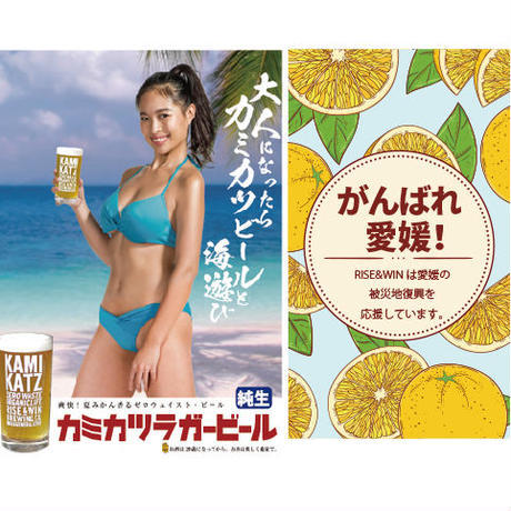 Rise & Win Kamikatz Lager beer Label Full Size