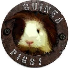 Yria-Guinea Pigs! Flow IPAporter beer Label Full Size
