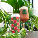 Evil Twin NYC Does Watermelon and Pomegranate Really Work? beer