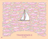 Hudson Valley Tradewinds II beer