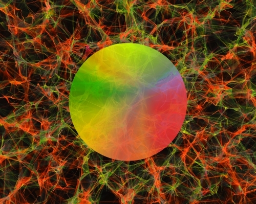 Barreled Souls Pogs And Slammers beer Label Full Size