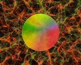 Barreled Souls Pogs And Slammers beer