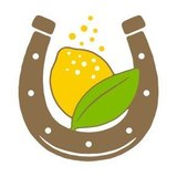 Luck Springs Half And Half beer