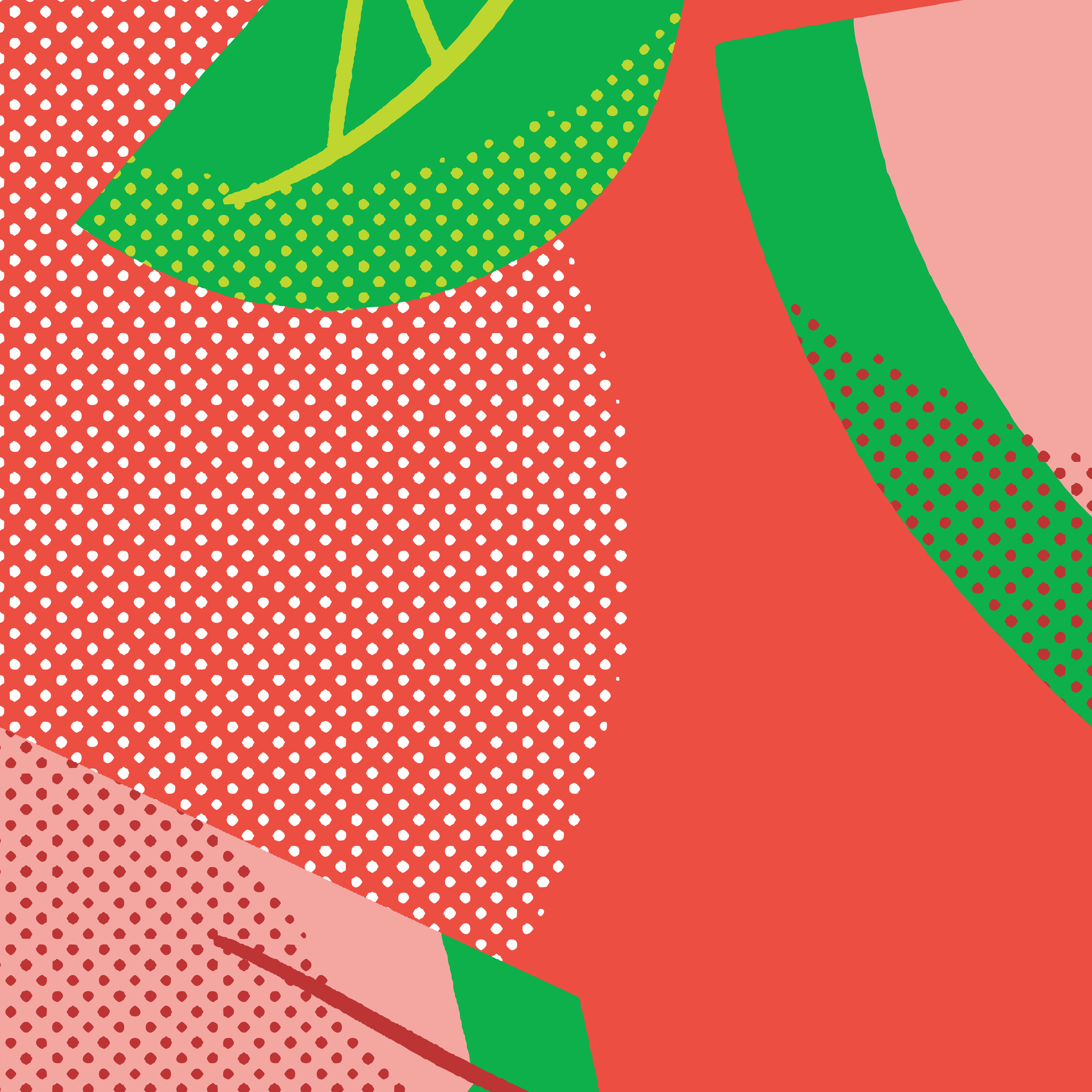 Five Boroughs Party Water Hard Seltzer - Watermelon Lime beer Label Full Size