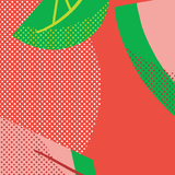 Five Boroughs Party Water Hard Seltzer - Watermelon Lime beer