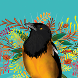 Tripping Animals Tropical Troupial beer