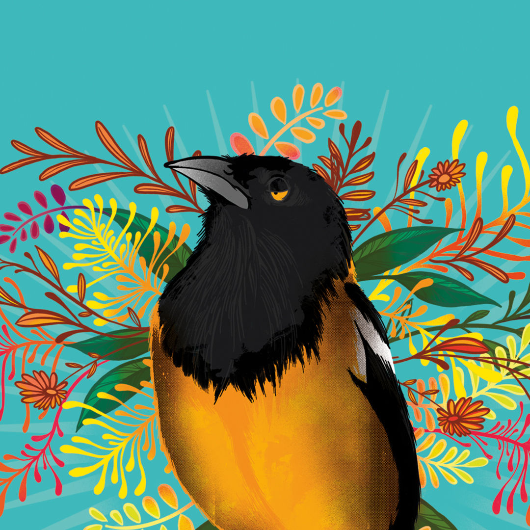 Tripping Animals Tropical Troupial beer Label Full Size