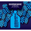 Jughandle Hopshorne Strata beer Label Full Size