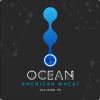 Ocean Lab American Wheat Ale beer