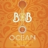Ocean Lab B.O.B - Blood Orange Blonde beer