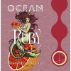 Ocean Lab Ruby beer