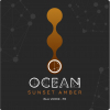 Ocean Lab Driftwood beer
