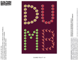 Evil Twin NYC DUMB FRUIT 10 beer