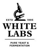 Tap:05 Leeuwenhoek Saison Batch:289.01 WLP564 Saison Yeast Blen beer