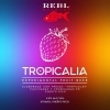 REBL Tropicalia beer Label Full Size