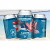 Leatherback Carite beer