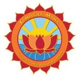 Kombucha Mama Blueberry Mint beer