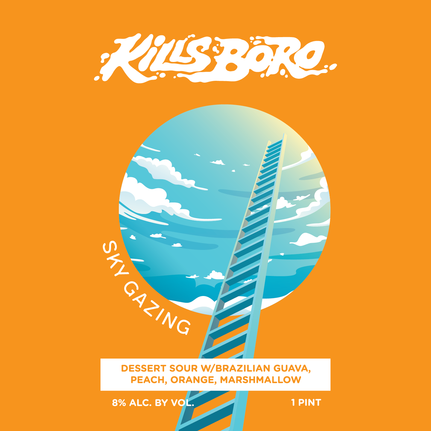 Kills Boro Sky Gazing beer Label Full Size