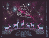 Hudson Valley + Equilibrium Transient Atmospheric Phenomenon IV beer