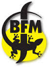 BFM Square Root 225 Rhubarbe Edition beer Label Full Size
