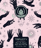 Source Triplicity beer