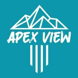 Downshift Brewing Company Apex View beer
