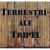 Rocket Republic Terrestri-Ale Tripel beer Label Full Size