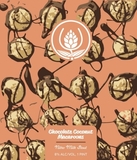 Source Chocolate Coconut Macaroons beer