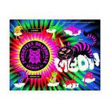 Forgotten Boardwalk Catnip beer