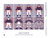 Hudson Valley + The Veil Halcyon II beer