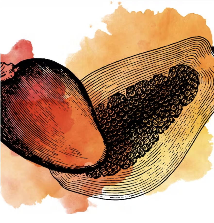 Edmund's Oast Sour Mango Papaya beer Label Full Size