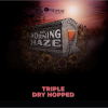 Imprint Triple Dry Hopped My Morning Haze beer