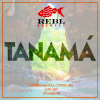 REBL Tanama beer