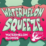 Martin House Watermelon Squeeze beer
