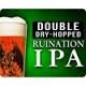 Stone Ruination 2.0 Double IPA w/ Coconut & Mandarina Bavarian Hops beer Label Full Size