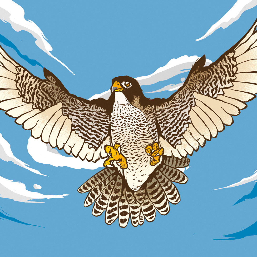 Tripping Animals + Foam Falcon Haze beer Label Full Size