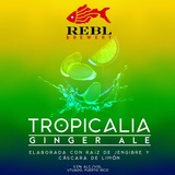 REBL Tropicalia - Ginger Ale beer