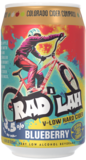 Colorado Cider Co Blueberry Radl'ah beer