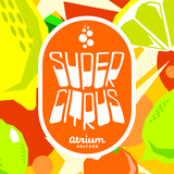 Atrium Super Citrus Seltzer beer