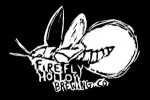 Firefly Hollow Special Ingredient Belgian Stout beer Label Full Size