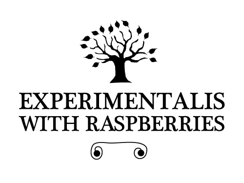 OEC Experimentalis with Raspberries beer Label Full Size