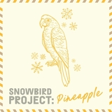 Ferndale Snowbird Project: Pinepple beer