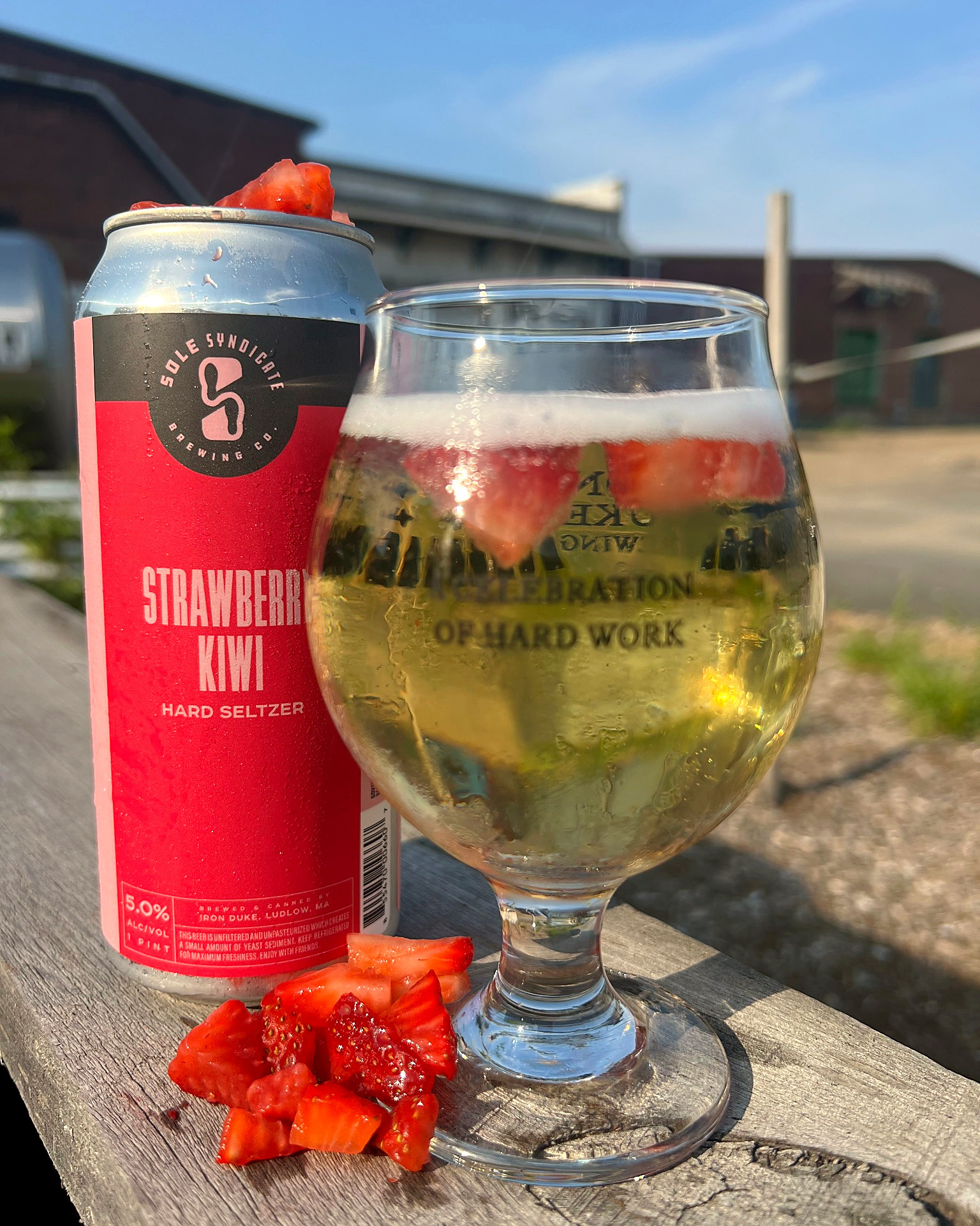 Sole Syndicate Strawberry Kiwi Seltzer beer Label Full Size
